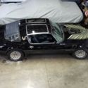 1979 Pontiac Trans Am,Black,Original unmolested California Car