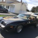 1979 PONTIAC TRANS AM*Y84*SPECIAL EDITION*22K ORIG MILES* T-TOPS*SHOW CONDITION!