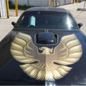 1979 PONTIAC TRANSAM BANDIT