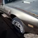 1979 Pontiac TransAm  Rare 4 Speed &#034;Z&#034; code
