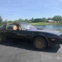1979 Special Edition Trans Am Bandit Survivor SE  Y84   52k Miles  T Tops 6.6