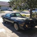 1979 Trans Am NO RESERVE!!!