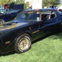 1979 Trans Am S/E