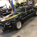 1979 Trans AM SE Y84 Special Edition, 6.6 Litre V8, Only 51k mile Mint Survivor