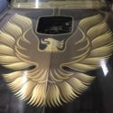 1979 Trans Am Special Edition Y84 WS6