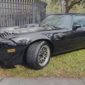 1979 Trans Am-T Tops
