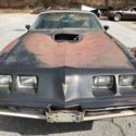 1979 Trans Am Y84 Special Edition