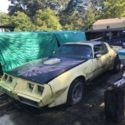1979 Trans Am yellow pontiac 2nd owner 455 olds motor