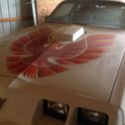 1979 TransAm