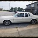 1979 White Premium!