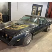 1979 Y84 Firebird Trans Am Se Bandit