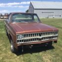 1980 81 chevy truck  custom deluxe 10 short box rat rod