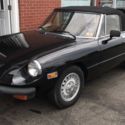 1980 Alpha Romeo Spider Veloce Convertible