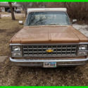 1980 Chevrolet C10 Pickup Truck 6-Cyl Engine Automatic 57200 Orig Miles Wood Bed