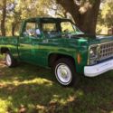 1980 Chevrolet C10 Short Bed One-Owner Patina Barn Find 66k original miles!!!