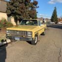 1980 chevrolet c20