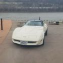 1980 Chevrolet Corvette Brown RWD Manual