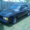1980 Chevrolet Malibu Classic Sport Coupe 2-Door