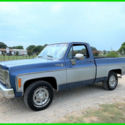 1980 Chevy C-10 Scottsdale Short Bed Pickup Truck, Survivor