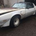 1980 Firebird Trans Am Turbo Indy Pace Car