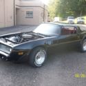 1980 Firebird Trans Am turbo ttops
