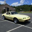 1980 firebird yellow bird espirit rare