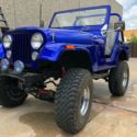 1980 JEEP CJ5 SBC V8 4 SPEED MANUAL W GRANNY LOW
