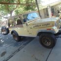 1980 jeep golden eagle