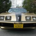 1980 Macho Turbo Trans Am