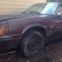 1980 mustang