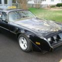 1980 Pontiac 4.9 Turbo Trans Am