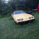 1980 Pontiac Firebird 4.9 Coupe Yellow RWD Automatic Esprit
