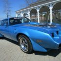 1980 Pontiac Firebird Coupe - Absolutely Beautiful! - V8 - Automatic - Air
