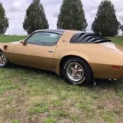1980 Pontiac Firebird Trans Am coupe 2-door 4.9l T-tops