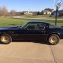 1980 Pontiac Firebird Trans Am Coupe 2-Door 4.9L