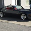 1980 Pontiac Firebird Trans Am Coupe 2-Door 4.9L Turbo