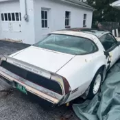 1980 Pontiac Firebird Trans Am Coupe White Pace Car