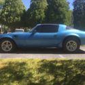 1980 Pontiac Firebird Turbo Trans Am Coupe 2-Door 4.9L-301 Blue T-tops