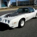 1980 Pontiac Firebird Turbo Trans Am Indy Pace Car Edition Rare Collectible