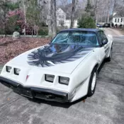 1980 Pontiac Firebird White Indy 500 Pace Car Edition