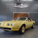 1980 Pontiac Firebird Yellow Bird Edition with paperwork