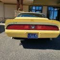 1980 pontiac firebird yellowbird