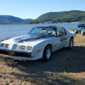 1980 Pontiac Firebird/Trans AM Pace car
