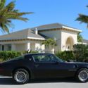 1980 Pontiac TranAm