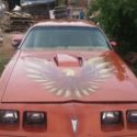 1980 Pontiac Trans Am       70000 miles