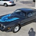 1980 PONTIAC TRANS AM ((( Collector Car! ))) ((( Only 7