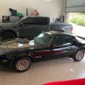 1980 Pontiac Trans Am T-Tops