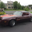 1980 Pontiac Trans Am with t-tops