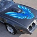 1980 Pontiac Trans Am WS6 7,915 Miles Gray   Automatic