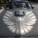 1980 TRANS AM 2 OWNER CAR  GLASS TOPS, 4.9 LITER FULLY LOADED T/A